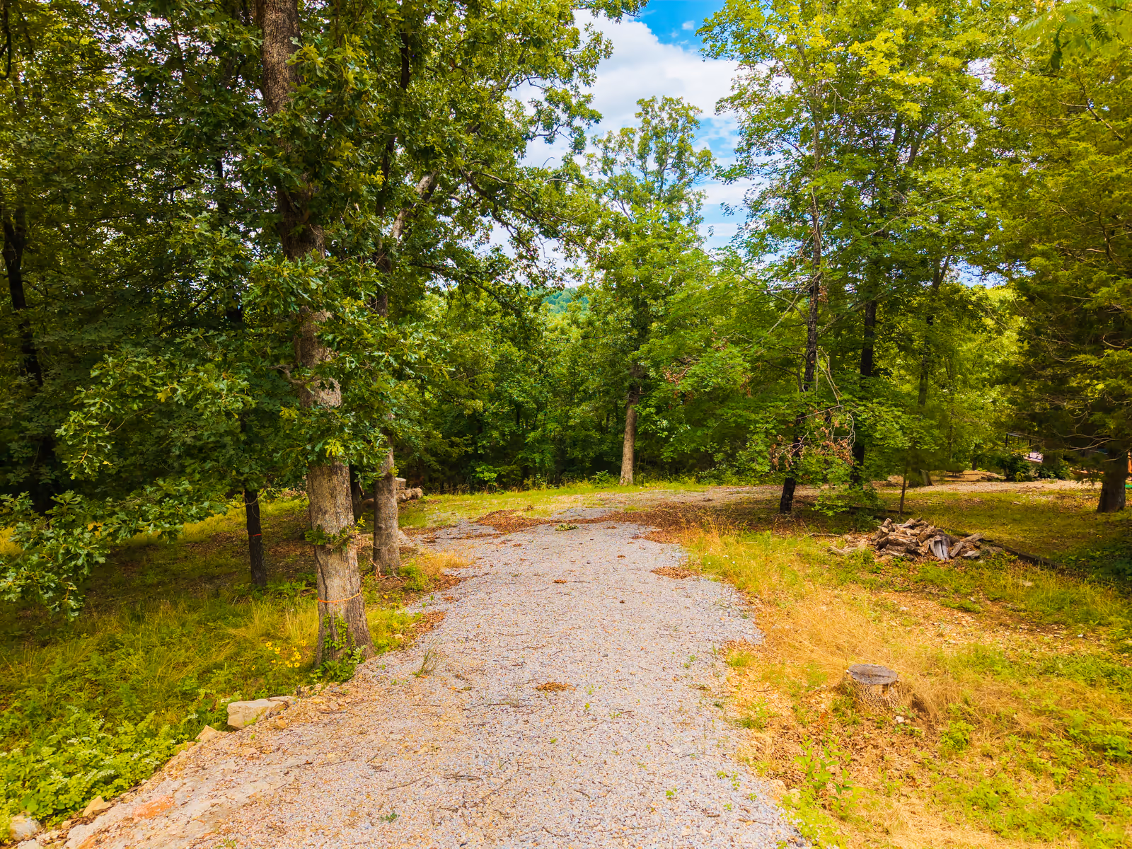 Forest Shores homesite on Bull Shoals Lake, photo 1