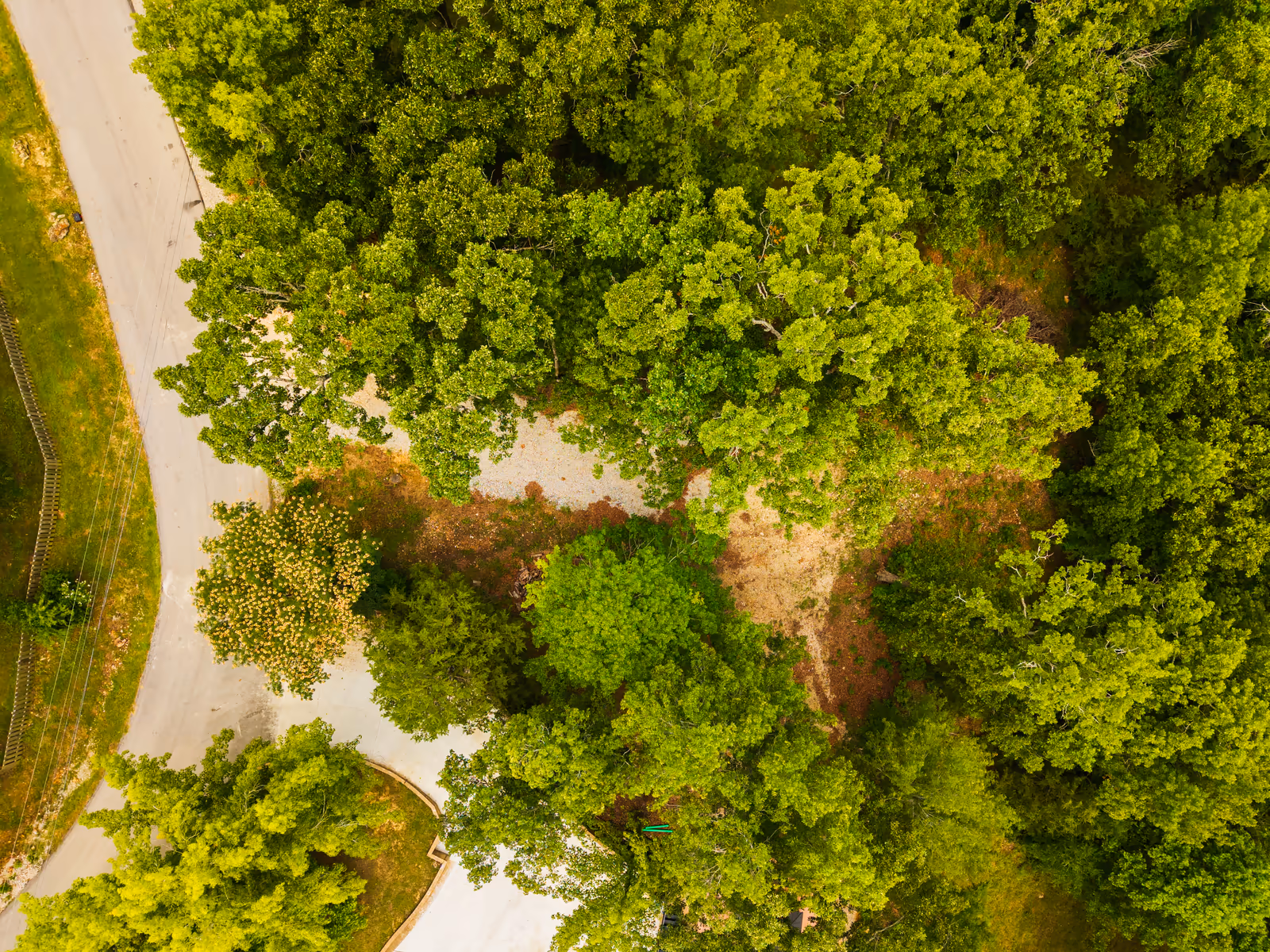 Forest Shores homesite on Bull Shoals Lake, photo 3
