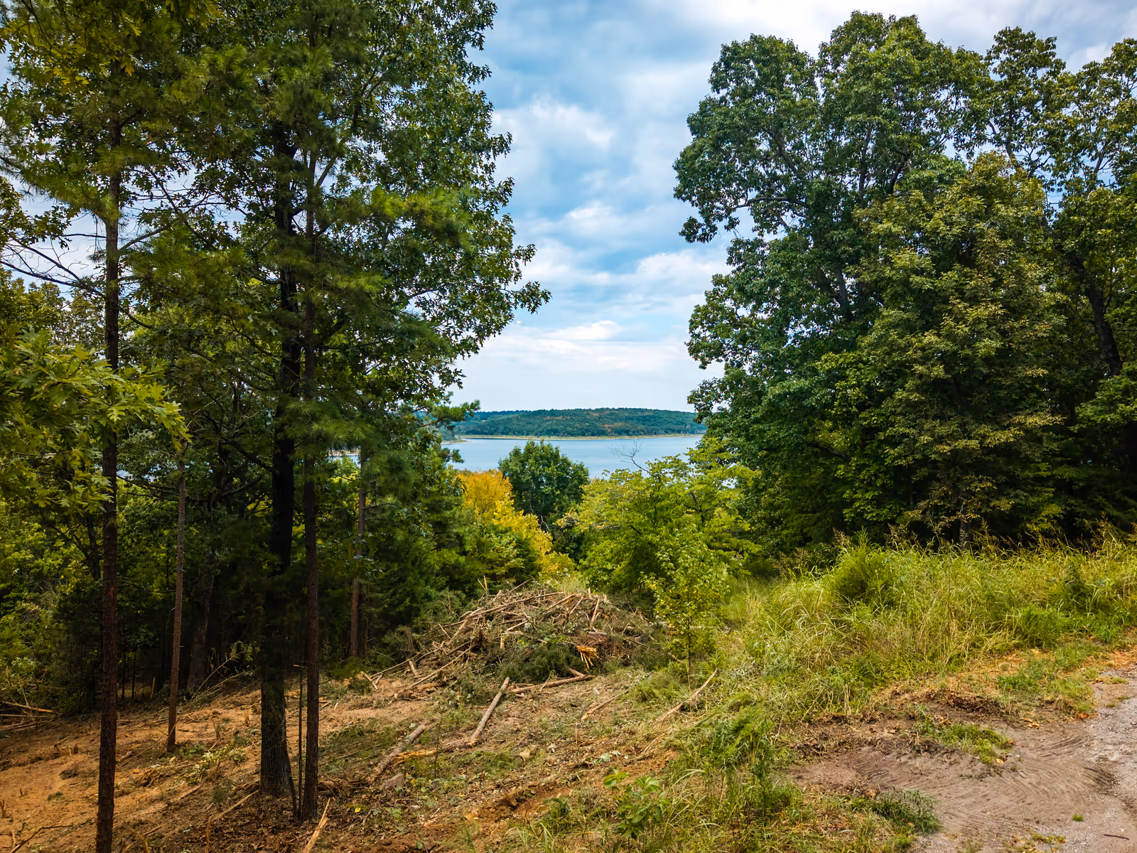 Sandy Shores homesite on Norfork Lake, photo 8